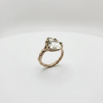 Ring Light