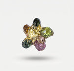 Earring Aurora Star Charm